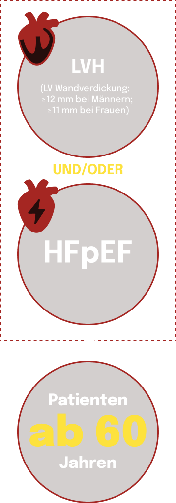 LVH- oder HFpEF-Indikatoren bei Patienten über 60 Jahren